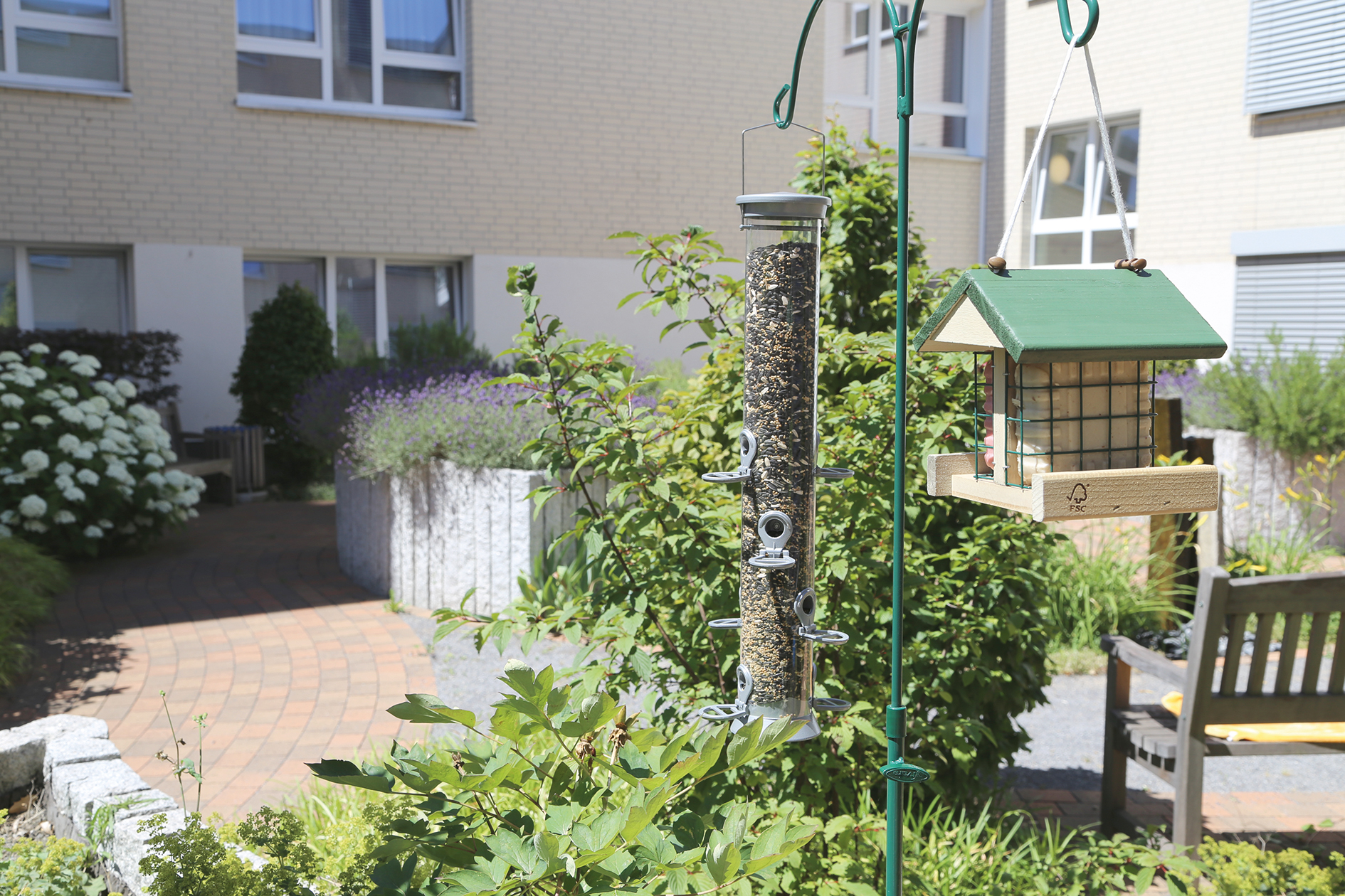 Die neue Vogelfutterstation im Seniorenzentrum Abendfrieden